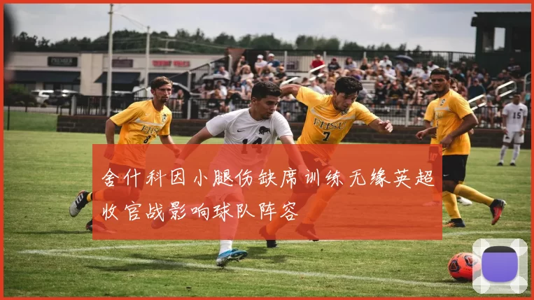 舍什科因小腿伤缺席训练无缘英超收官战影响球队阵容